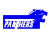logo-panthers