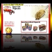 Gourmet Popcorn Wagon