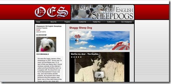 old-english-sheepdogs