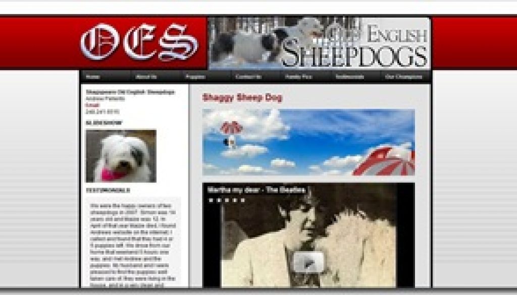 oldenglishsheepdogs.jpg
