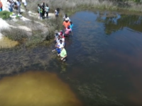 Marine Science Drone Estuary